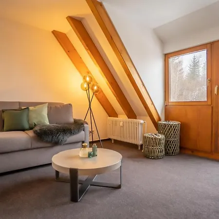 Appartements Waldrose Titisee-Neustadt Exterior photo