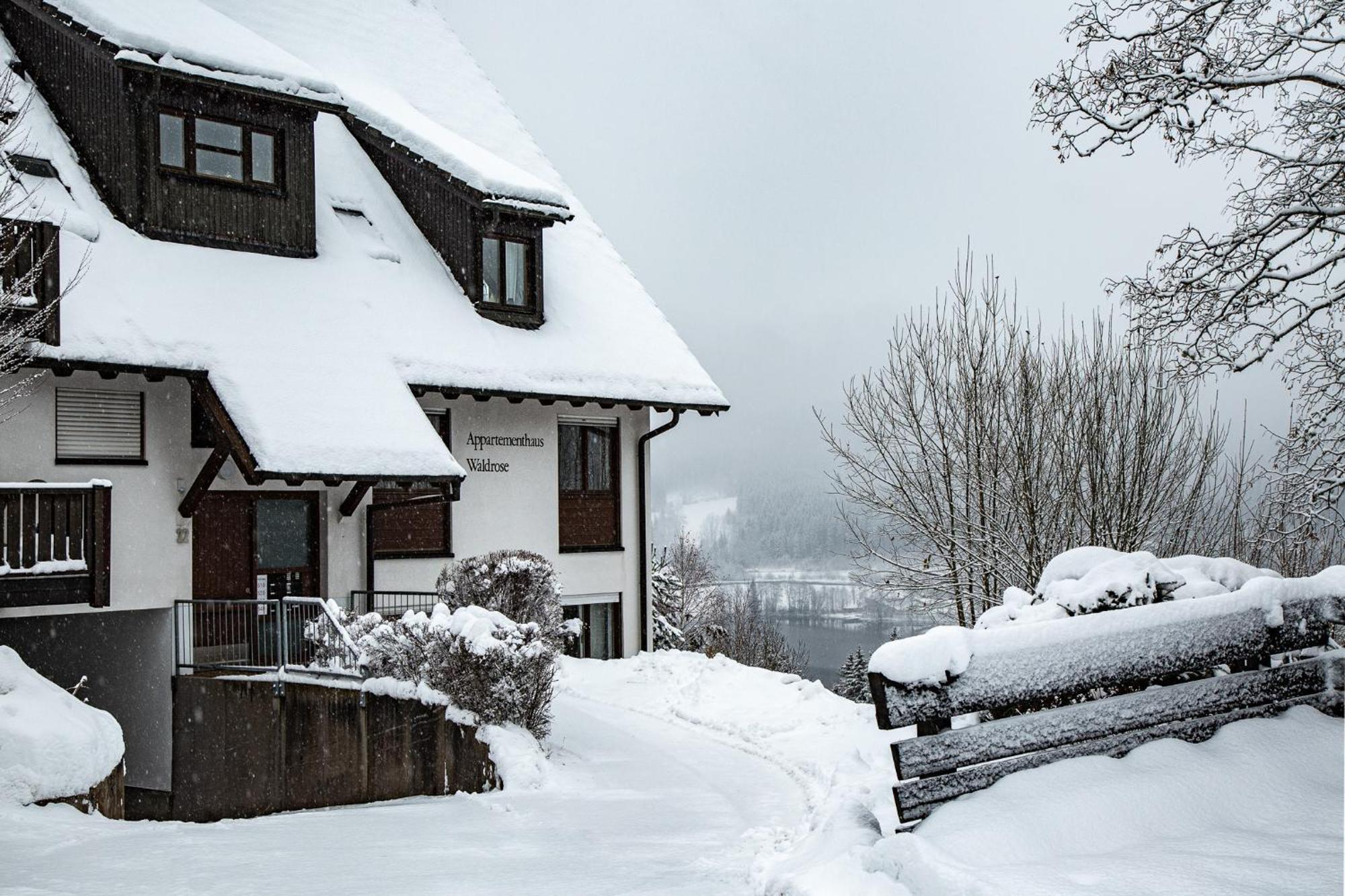 Waldrose Titisee-Neustadt